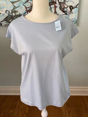 LOFT Peace Blue Modern Wedge Short Sleeve Scoop Neck Top
